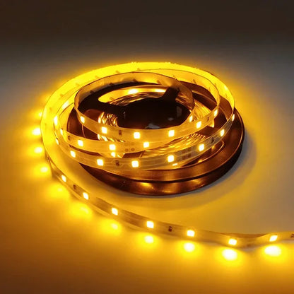12V LED Light Strip 5M – SMD 2835, Multi-Color