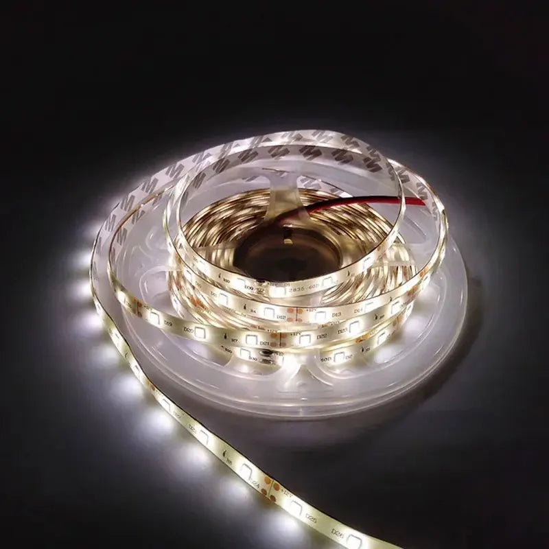 12V LED Light Strip 5M – SMD 2835, Multi-Color