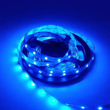 12V LED Light Strip 5M – SMD 2835, Multi-Color