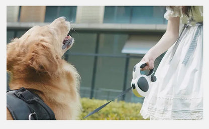 5M LED Reflective Retractable Dog Leash (Explosion-Proof)
