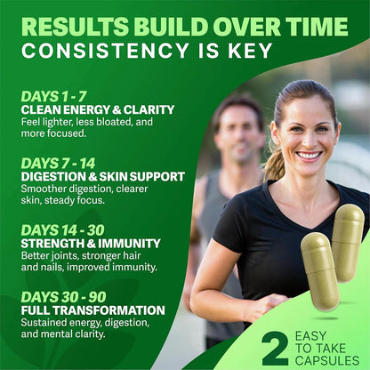 Moringa Capsules – Energy, Skin & Gut Support